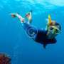 Underwater Photographer of the Year! See the Results