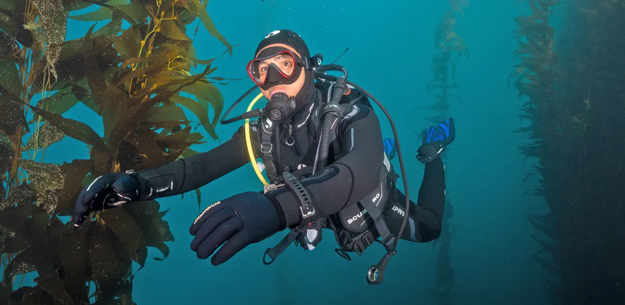 Dry Suit Diving Course in Miami