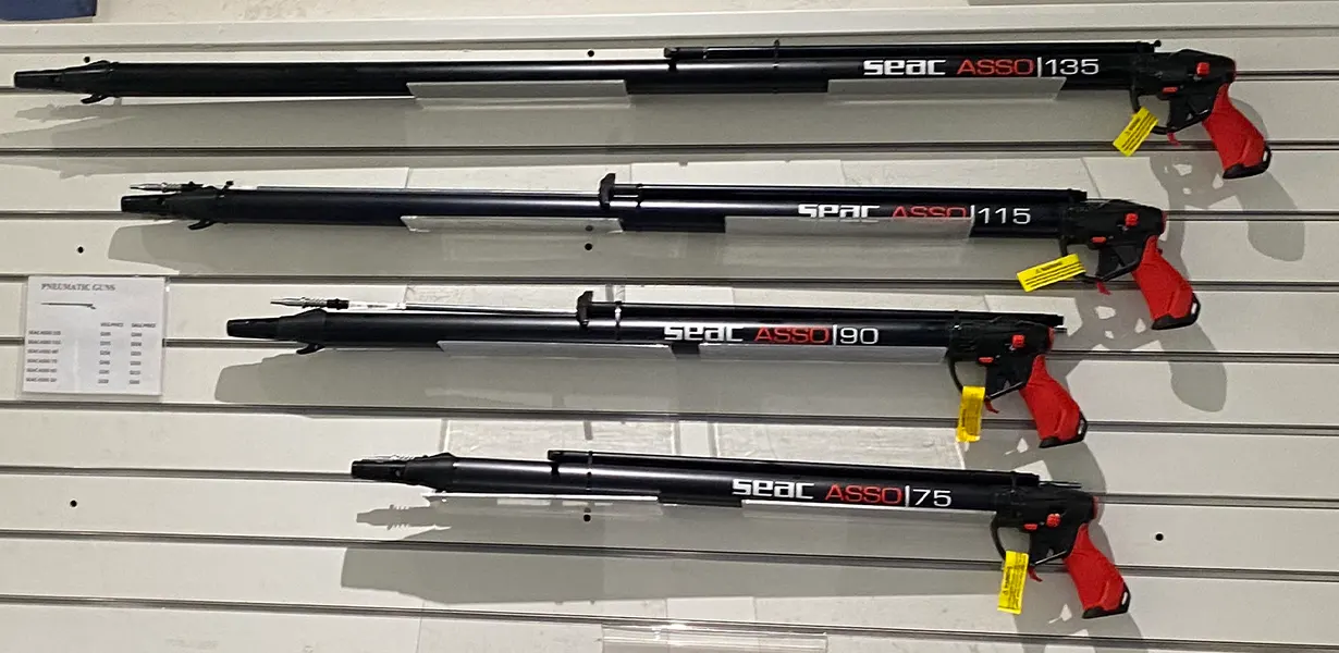 Spearfishing Course in Miami